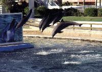 Sea World 2001